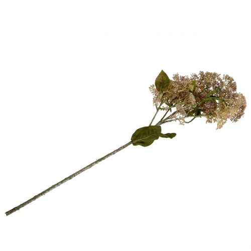 položky Dekorativní rozchodník větvený světle růžový 58cm