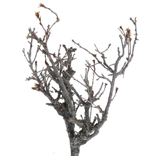 Deko větve bonsajové dřevo deko větve 15-30cm 650g