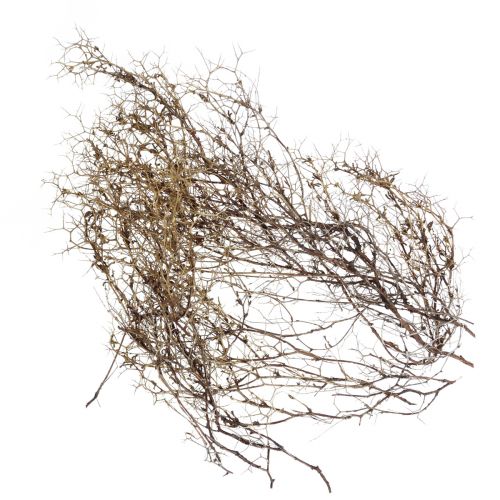 položky Deco větve Iron Bush větve přírodní dekorace dřevo příroda 250g