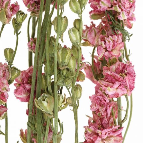 položky Sušená květina delphinium, Delphinium pink, suché květinářství L64cm 25g