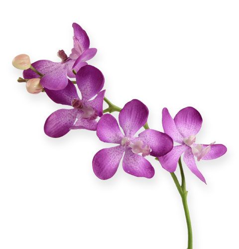 Floristik24 Orchidej lila 38cm