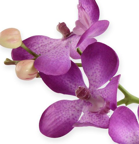 položky Orchidej lila 38cm