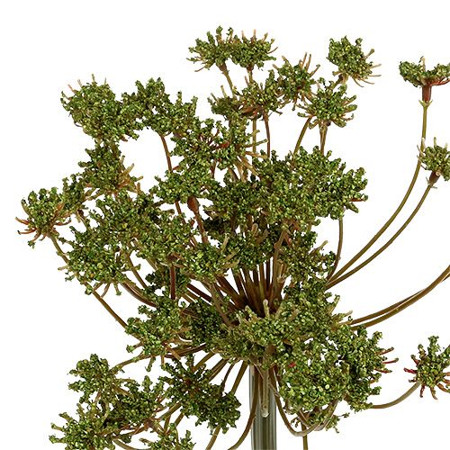 Floristik24 Kopr umělý zelený 76cm