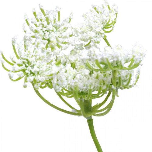 Kopr kvetoucí, umělá rostlina, umělé bylinky zelená, bílá L80cm