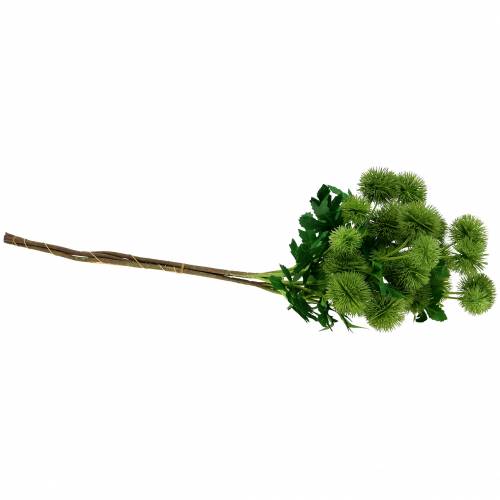 Floristik24 Hedvábný květ bodlák zelený 56cm 3ks