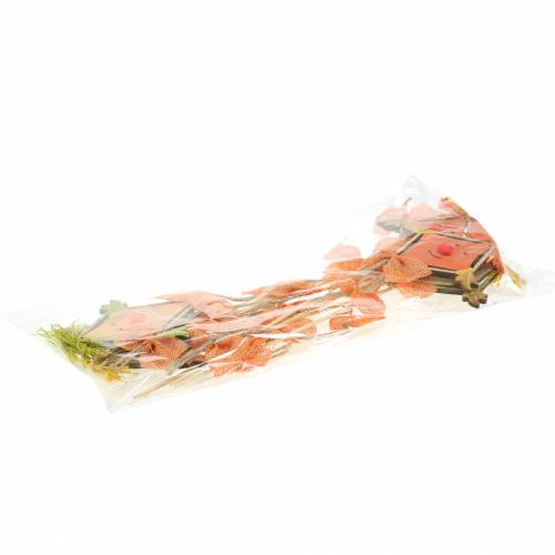 Floristik24 Deco plug dragon 39,5cm 6ks