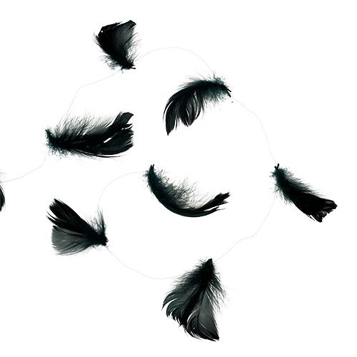 Floristik24 Drát s pružinou černý 10m