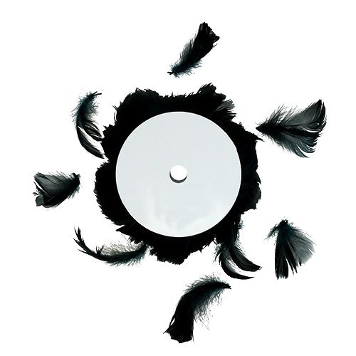 Floristik24 Drát s pružinou černý 10m