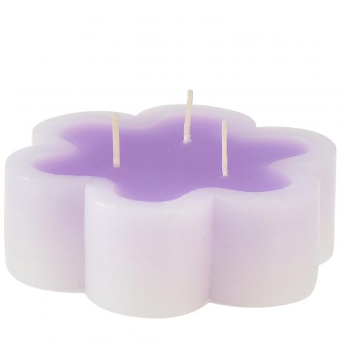 Floristik24 Tříknotová svíčka jako květinová svíčka fialová bílá Ø11,5cm V4cm