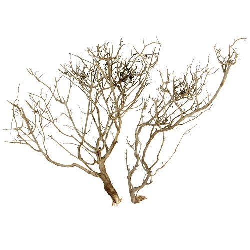 položky Dry Tree Nature 500g