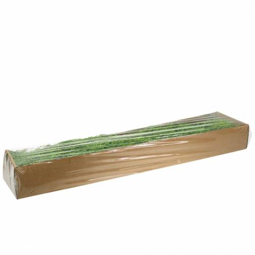 Floristik24 Džungle mech jarní zelený 250g
