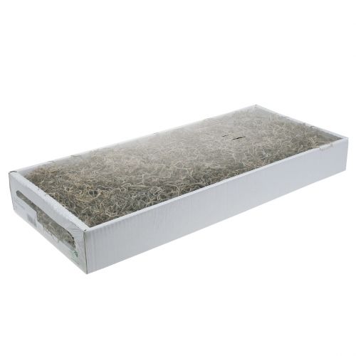 Floristik24 Přírodní mech džungle 250g
