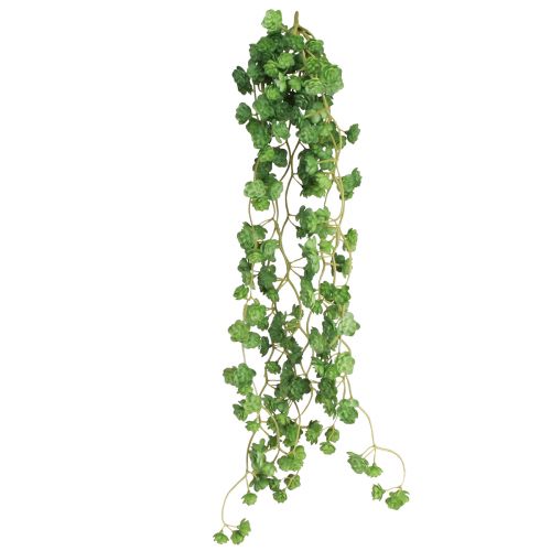 Umělé závěsné rostliny echeverie v zelené barvě Š12 cm D50 cm