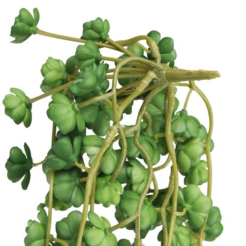 položky Umělé závěsné rostliny echeverie v zelené barvě Š12 cm D50 cm
