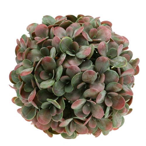 Floristik24 Echeveria míč umělý zelený, červený Ø22cm