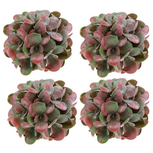 Floristik24 Kuličky Echeveria zelené, červené Ø14cm 4ks