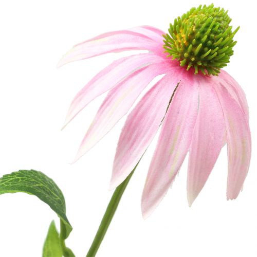 položky Echinacea květina umělá světle růžová 90cm