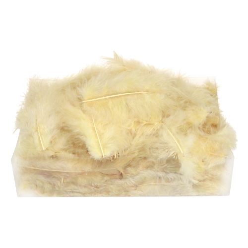 položky Pravé peří pro řemesla ve světle žluté 5cm - 10cm 20g