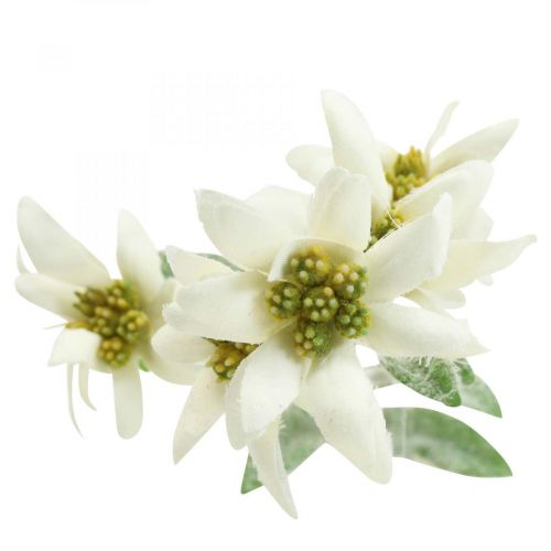 položky Umělá květina protěže bílá vločkovaná 38cm