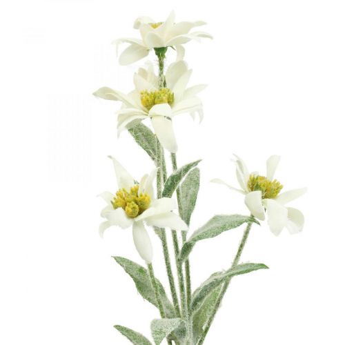 Floristik24 Umělá květina protěže bílá vločkovaná 38cm