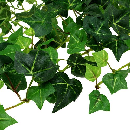 Floristik24 Břečťanový úponek zelený 70cm