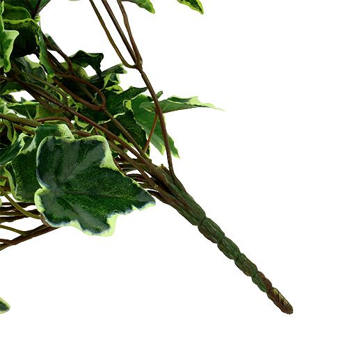 Floristik24 Břečťanový věšák bílo-zelený 70cm