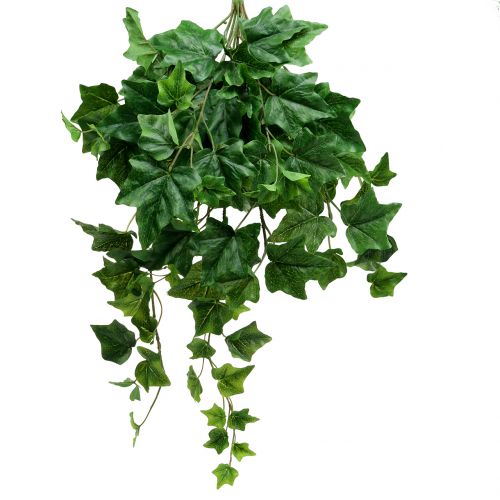 Břečťanový věšák velký list 60cm