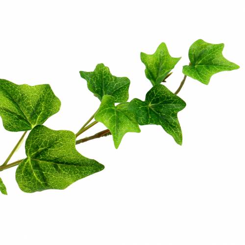 Floristik24 Břečťanový věšák velký list 86cm