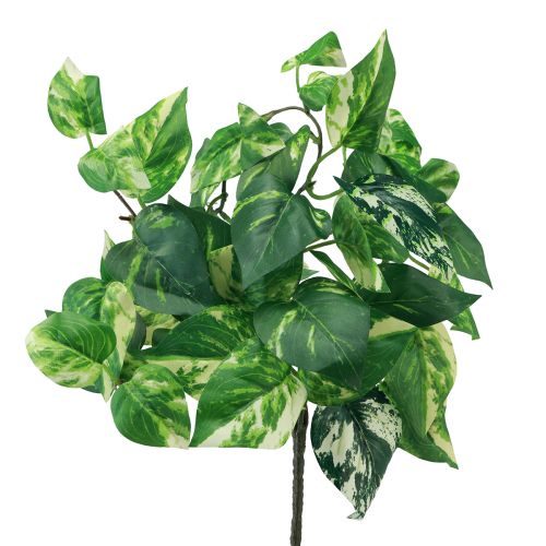 Floristik24 Břečťan Pothos břečťan umělý zlatý úponek 50cm