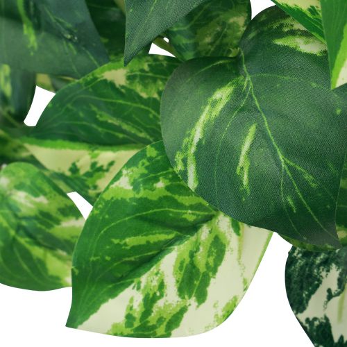 Floristik24 Břečťan Pothos břečťan umělý zlatý úponek 50cm