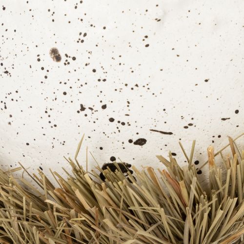 položky Velikonoční miska hnízdo ve tvaru vajíčka k jarní dekoraci 11cm 4ks