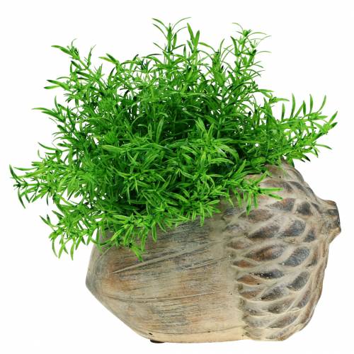 Floristik24 Sazeč betonový žalud 21,5 cm × 14 cm V9,5 cm