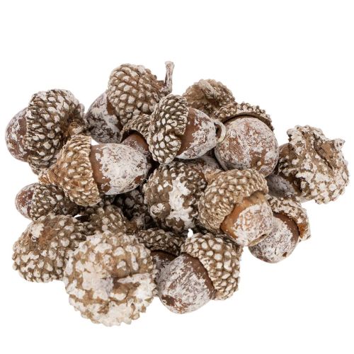 Žaludy, přírodní produkt k dekoraci, bílené, 1-3 cm, 300 g