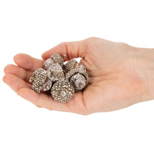 Žaludy, přírodní produkt k dekoraci, bílené, 1-3 cm, 300 g | Floristik24.cz
