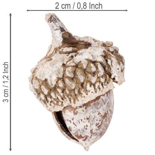 Žaludy, přírodní produkt k dekoraci, bílené, 1-3 cm, 300 g | Floristik24.cz