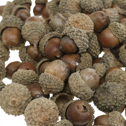 položky Žaludy na zdobení, podzimní dekorace, podzimní plody samozřejmě Ø1,5 - 2,5cm L1,5 - 3cm 300g