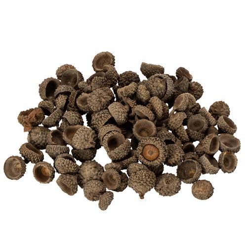 Přírodní žaludy, dekorativní misky na podzim a advent, 2 cm, 300 g nakoupit | Floristik24.cz