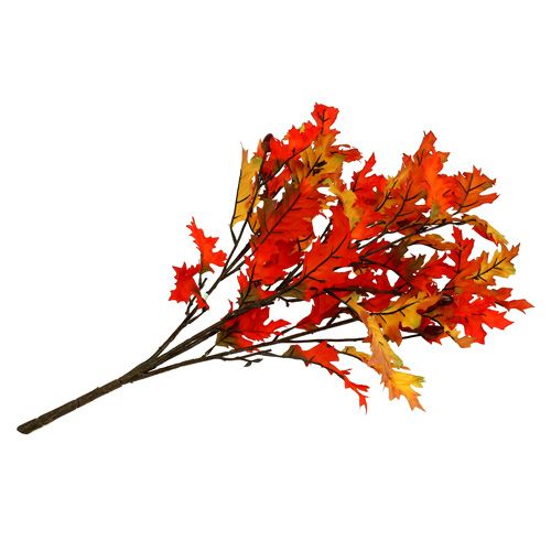 Floristik24 Dubový list keř oranžový 56cm