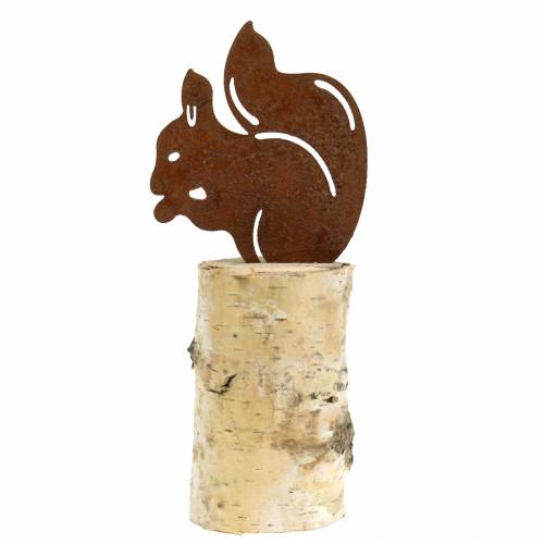 Floristik24 Patina veverky na kmeni V22cm