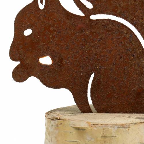 Floristik24 Patina veverky na kmeni V22cm