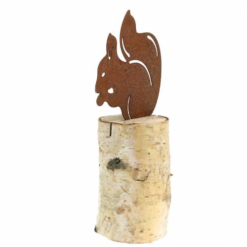 Floristik24 Patina veverky na kmeni V22cm