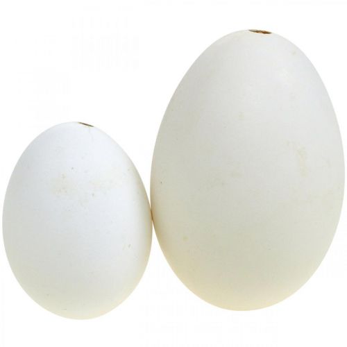 položky Labutí vejce &amp; slepičí vejce mix vyfouknutý bílek 5,5/8cm 9ks