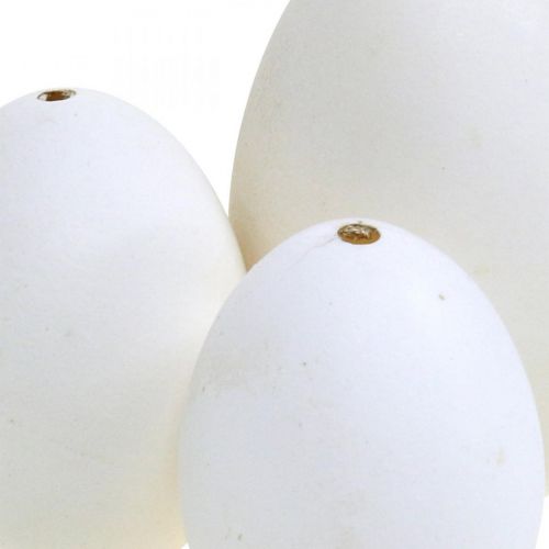 položky Labutí vejce &amp; slepičí vejce mix vyfouknutý bílek 5,5/8cm 9ks