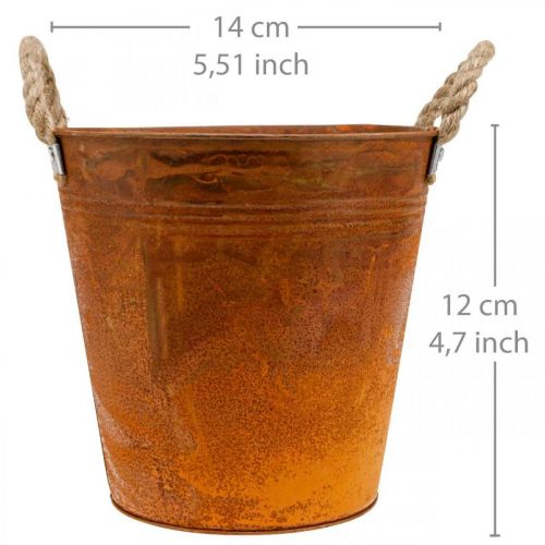 Floristik24 Květináč, podzimní dekorace, kovová nádoba s patinou Ø14cm V12cm