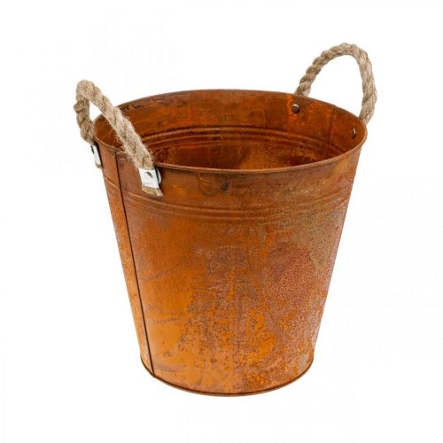 Floristik24 Květináč s uchy, miska na rostliny, kovová nádoba s dekorem rzi Ø25cm V24cm