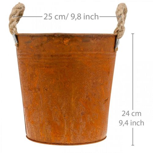 Květináč s uchy, miska na rostliny, kovová nádoba s dekorem rzi Ø25cm V24cm | Floristik24.cz