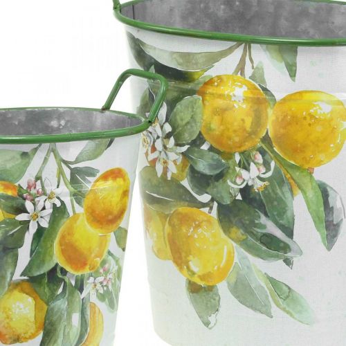 Floristik24 Středomořská plechová vana, květináč s motivem citronu bílá, zelená, žlutá V43,5/34cm Š36,5/27,5cm sada 2ks