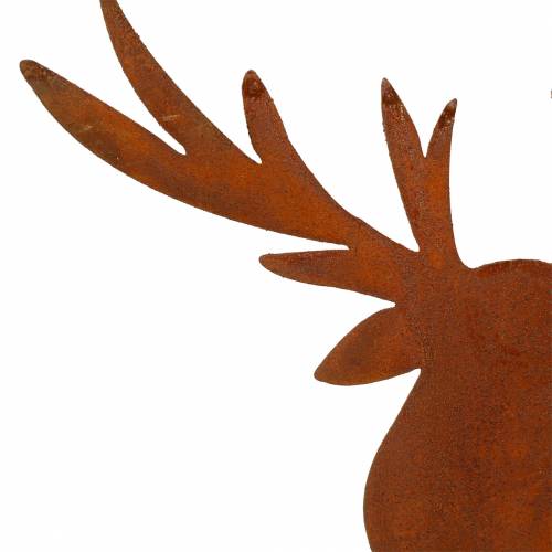 Floristik24 Elk patina k nalepení V58cm