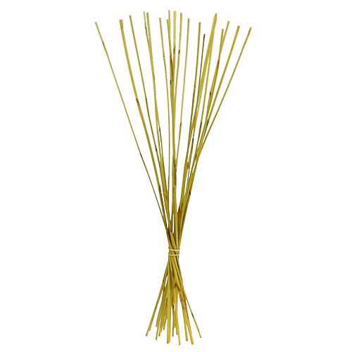 Floristik24 Dekorativní tyčinky, Elephant Reed Yellow 20 ks