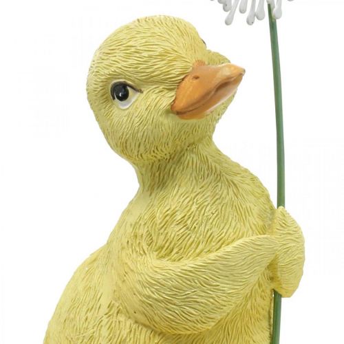 Floristik24 Jarní dekorace, káčátka s pampeliškou, ozdobná figurka V13,5cm
